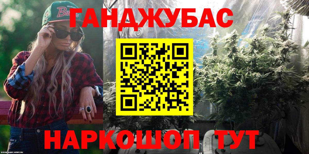 Бошки Шишки планчик Лысьва